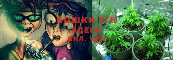 ГАЛЛЮЦИНОГЕННЫЕ ГРИБЫ Вязники